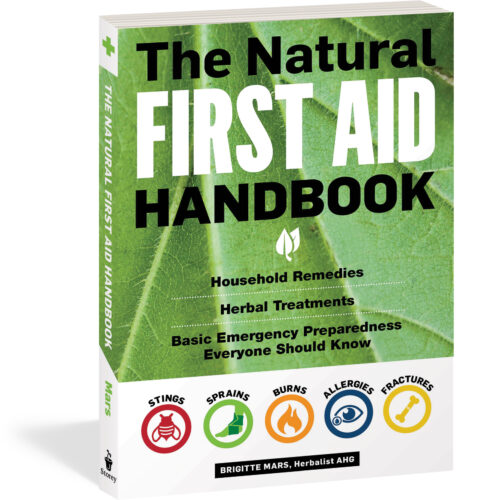 Natural Bug Bite Remedies